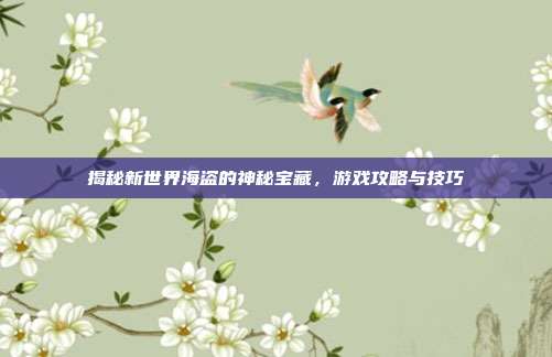 揭秘新世界海盗的神秘宝藏,游戏攻略与技巧
