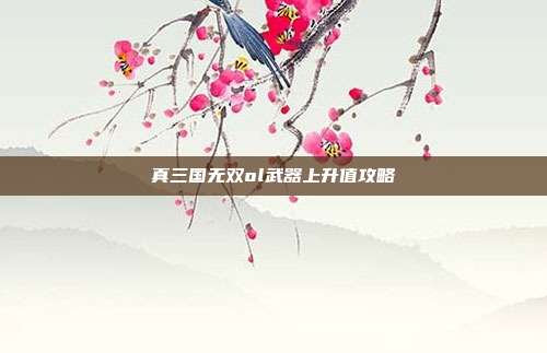 真三国无双ol武器上升值攻略