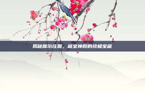 揭秘摩尔庄园,藏宝神殿的终极宝藏