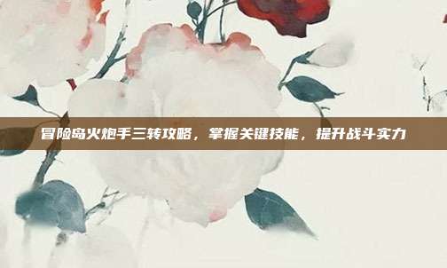 冒险岛火炮手三转攻略,掌握关键技能,提升战斗实力
