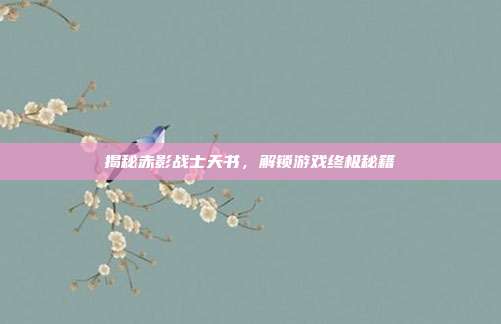 揭秘赤影战士天书，解锁游戏终极秘籍