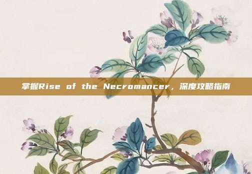 掌握Rise of the Necromancer,深度攻略指南