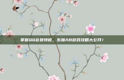 掌握QQ会员特权,东珈AB游戏攻略大公开!
