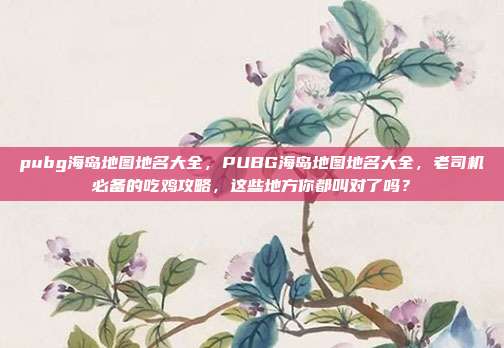 pubg海岛地图地名大全，PUBG海岛地图地名大全，老司机必备的吃鸡攻略，这些地方你都叫对了吗？