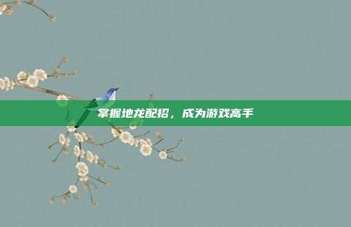 掌握地龙配招，成为游戏高手