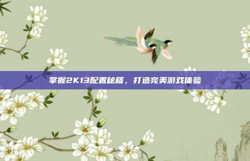 掌握2K13配置秘籍,打造完美游戏体验