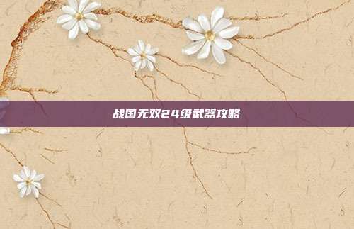 战国无双24级武器攻略