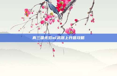 真三国无双ol武器上升值攻略