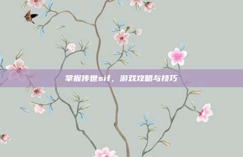 掌握传世sif,游戏攻略与技巧