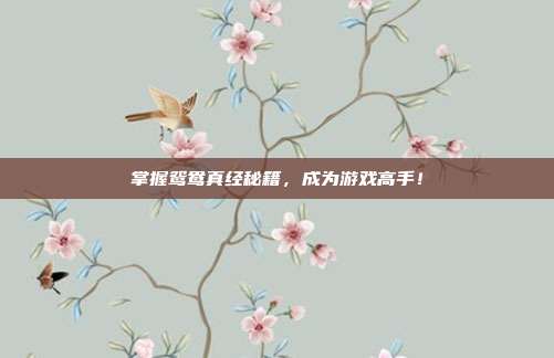 掌握鸳鸯真经秘籍,成为游戏高手!