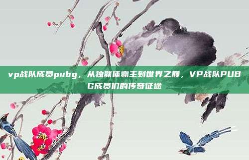 vp战队成员pubg，从独联体霸主到世界之巅，VP战队PUBG成员们的传奇征途