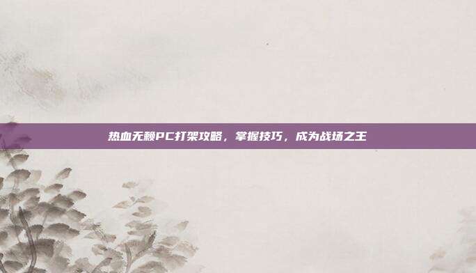 热血无赖PC打架攻略,掌握技巧,成为战场之王