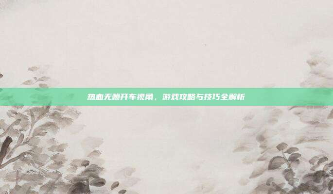 热血无赖开车视角,游戏攻略与技巧全解析
