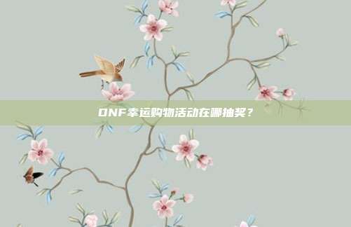 DNF幸运购物活动在哪抽奖?