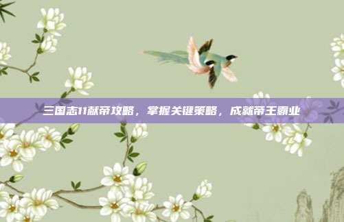 三国志11献帝攻略,掌握关键策略,成就帝王霸业