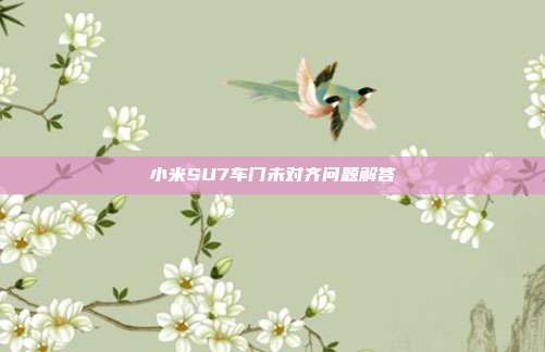 小米SU7车门未对齐问题解答