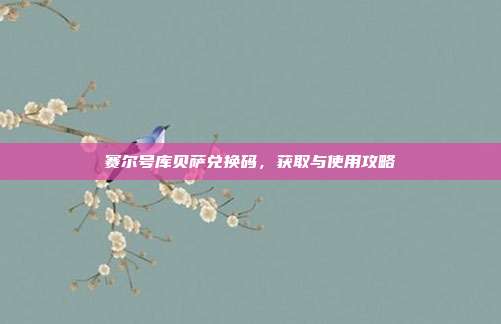 赛尔号库贝萨兑换码,获取与使用攻略