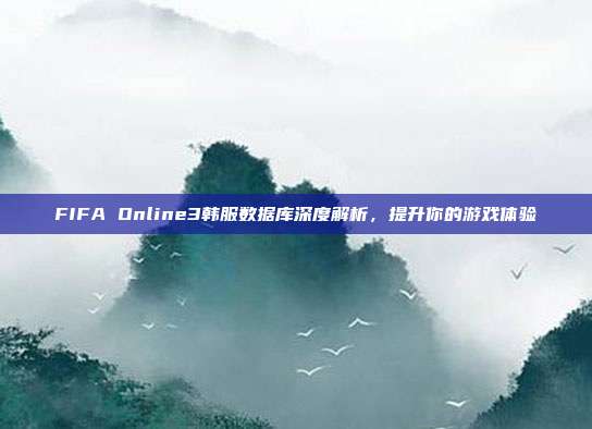 FIFA Online3韩服数据库深度解析,提升你的游戏体验