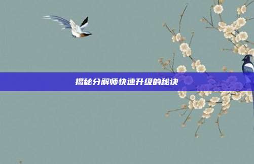 揭秘分解师快速升级的秘诀