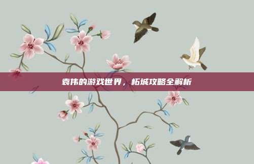 袁伟的游戏世界,柘城攻略全解析