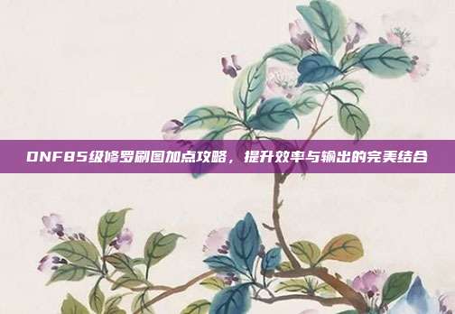 DNF85级修罗刷图加点攻略,提升效率与输出的完美结合