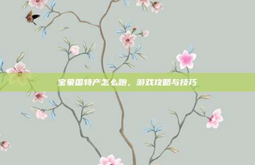宝象国特产怎么跑，游戏攻略与技巧