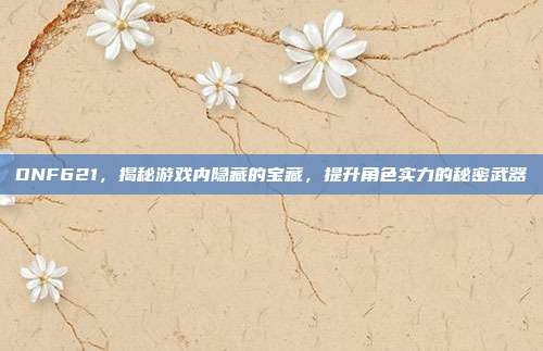 DNF621,揭秘游戏内隐藏的宝藏,提升角色实力的秘密武器