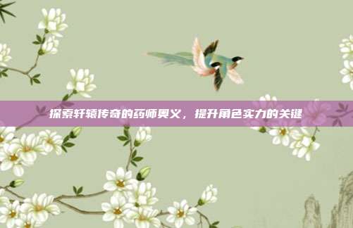 探索轩辕传奇的药师奥义,提升角色实力的关键