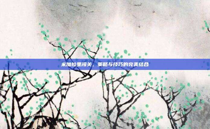 米加拉里闯关,策略与技巧的完美结合