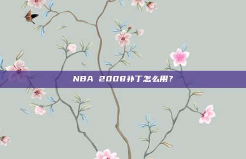 NBA 2008补丁怎么用?