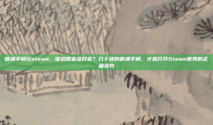 普通手柄玩steam，谁说便宜没好货？几十块的普通手柄，才是打开Steam世界的正确姿势