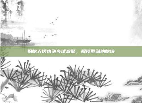 揭秘大话水浒乡试攻略,解锁胜利的秘诀