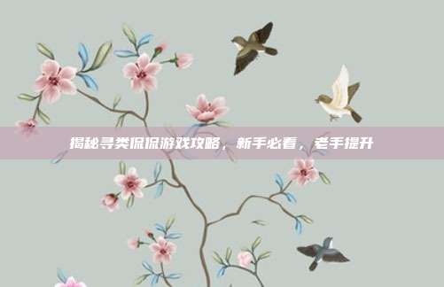 揭秘寻类侃侃游戏攻略,新手必看,老手提升