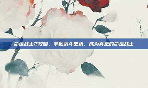 命运战士2攻略,掌握战斗艺术,成为真正的命运战士
