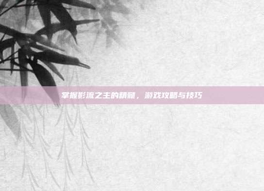 掌握影流之主的精髓，游戏攻略与技巧